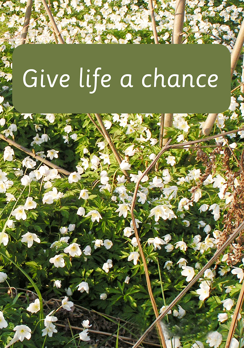 Give life a chance