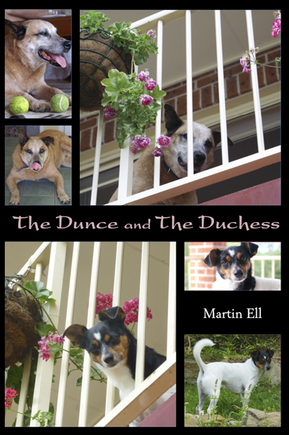 The Dunce and The Duchess