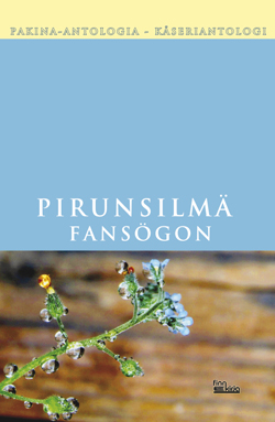 Omslag till Pirunsilmä — Fansögon