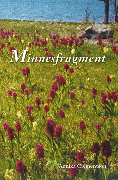 Minnesfragment