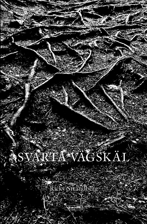 Svarta vägskäl