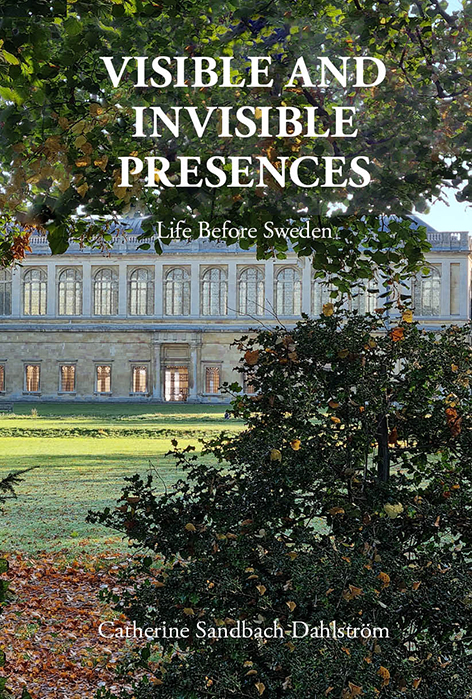 Visible and Invisible Presences